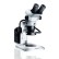 Стереомикроскоп Olympus SZ61