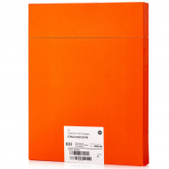 Рентгеновская пленка AGFA Structurix D8 FW 30x40